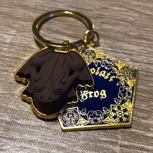 Harry Potter chocolate frog key chain